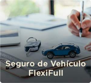 Vehículos de Motor Seguros Pepín - FlexiFull