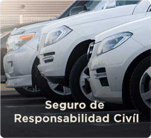 Vehículos de Motor Seguros Pepín- Responsabilidad Civil