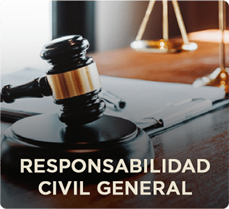 Responsabilidad Civil General