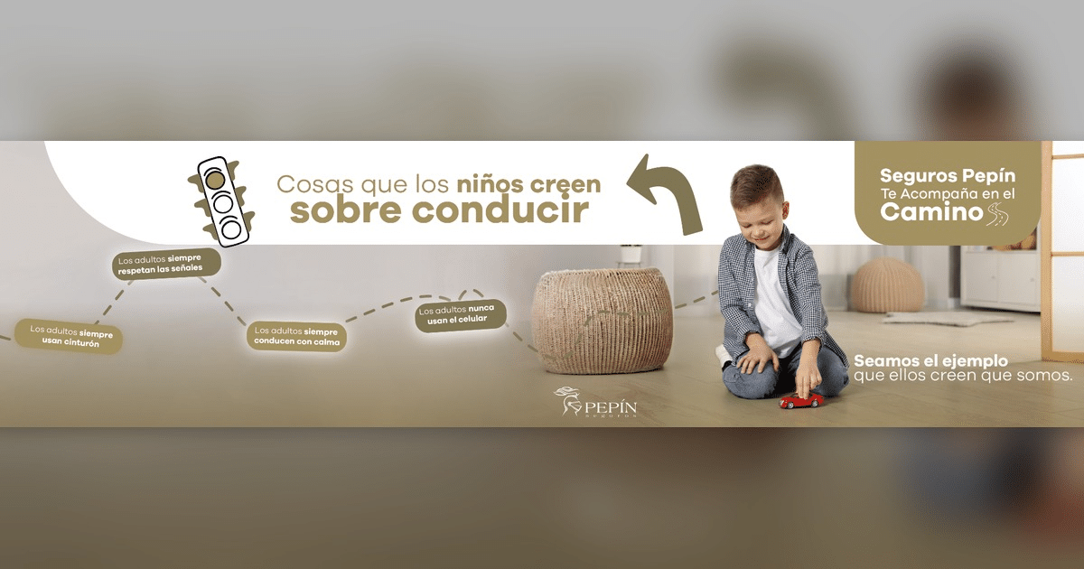 seguridad vial